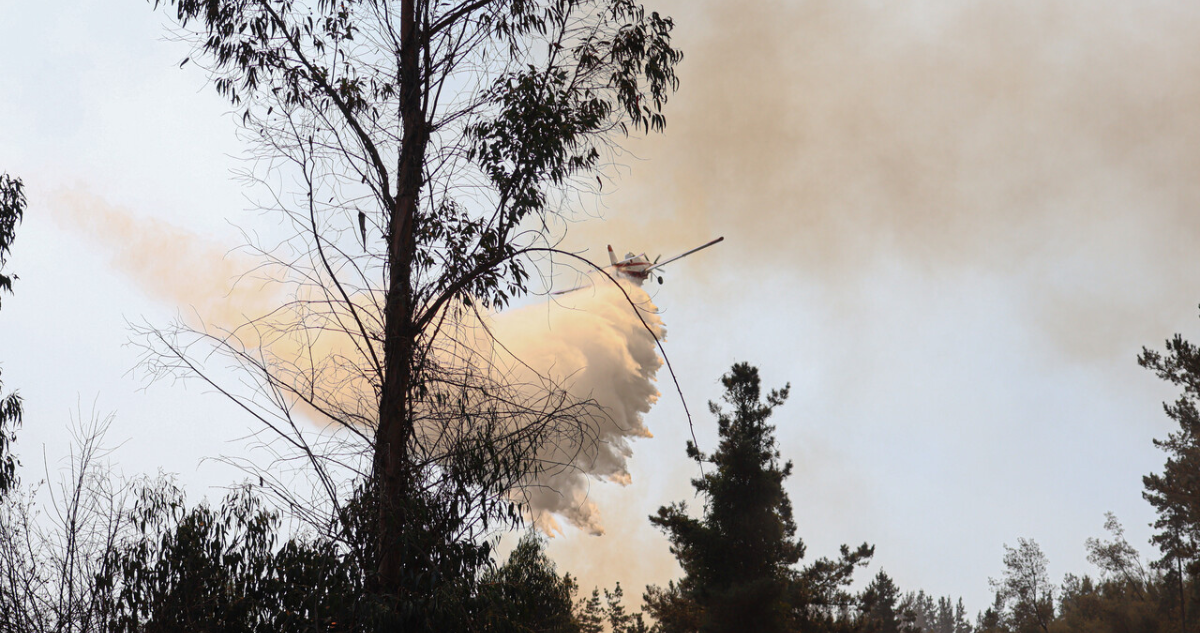 50% de los incendios forestales en la Región del Bío Bío son intencionales, advierte Corma