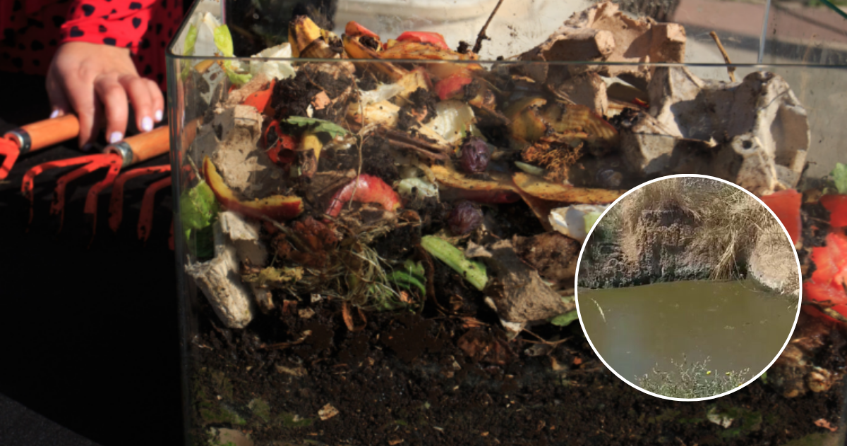 Purranque: SMA confirma que continúa proceso sancionatorio contra empresa de compostaje en Crucero