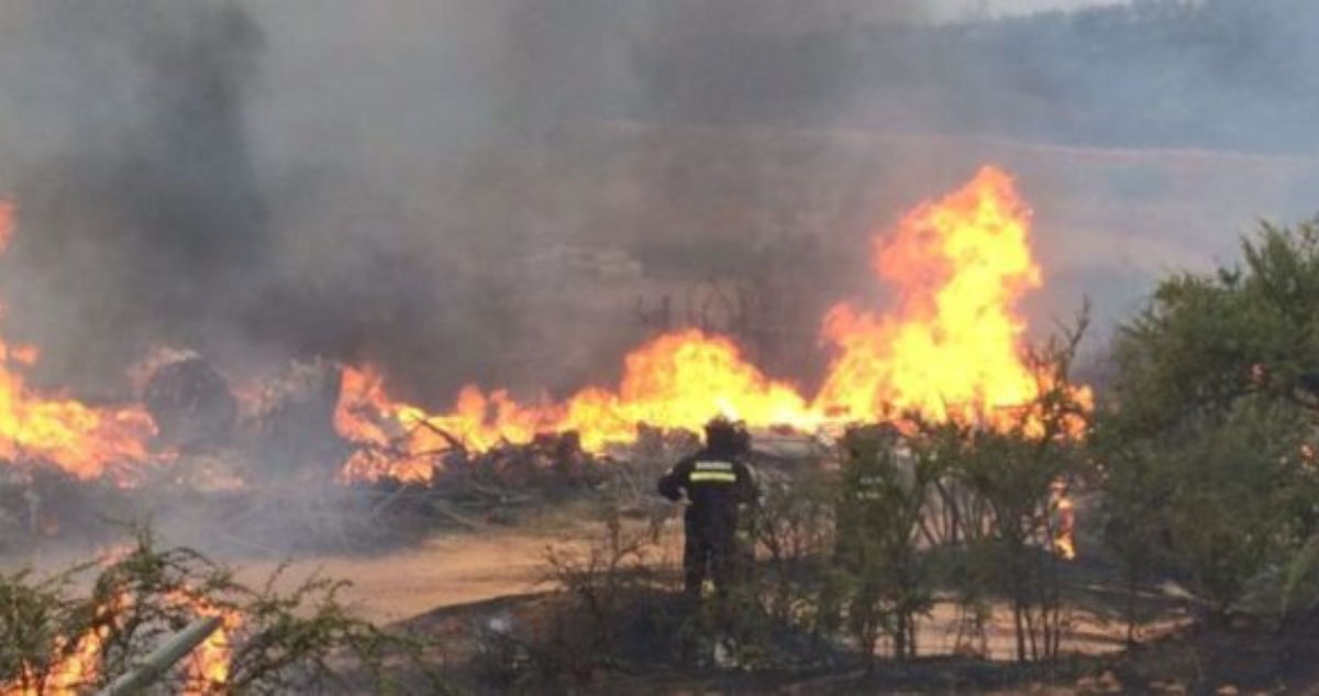 Incendio forestal avanza sin control en Alto Bío Bío: reportan 160 hectáreas arrasadas