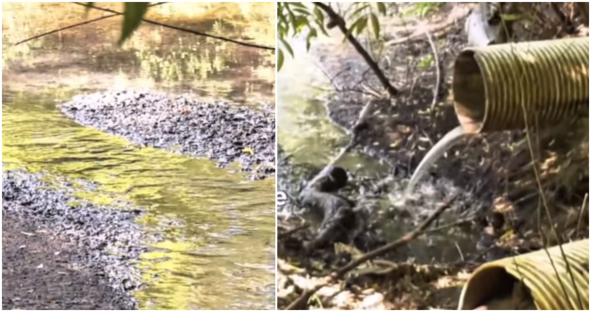 Aguas servidas en río Trancura