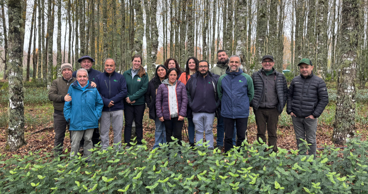 Alianza de Conaf y Colun impulsa restauración ecológica en Los Ríos con plantación de especies nativas