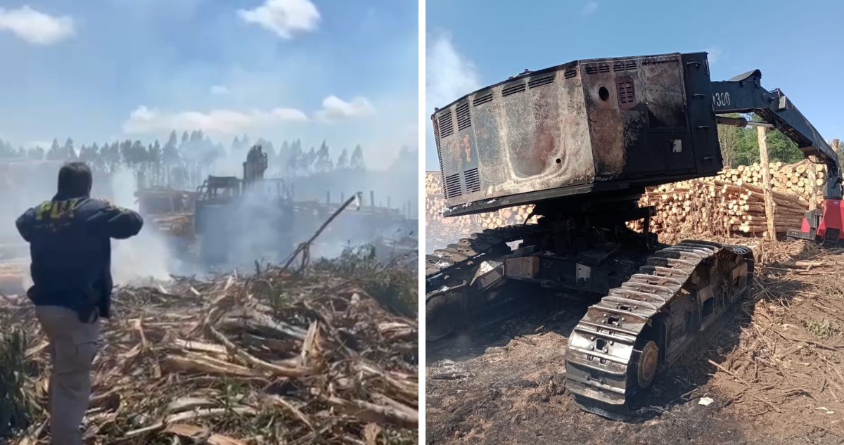 “Me preocupa”: Alcalde de Cunco condena ataque incendiario que destruyó 7 maquinarias forestales