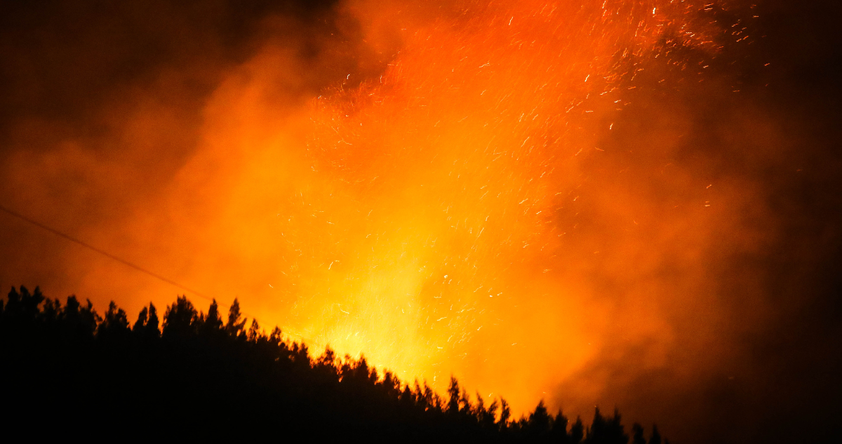 Foto de archivo de incendio forestal en La Araucanía
