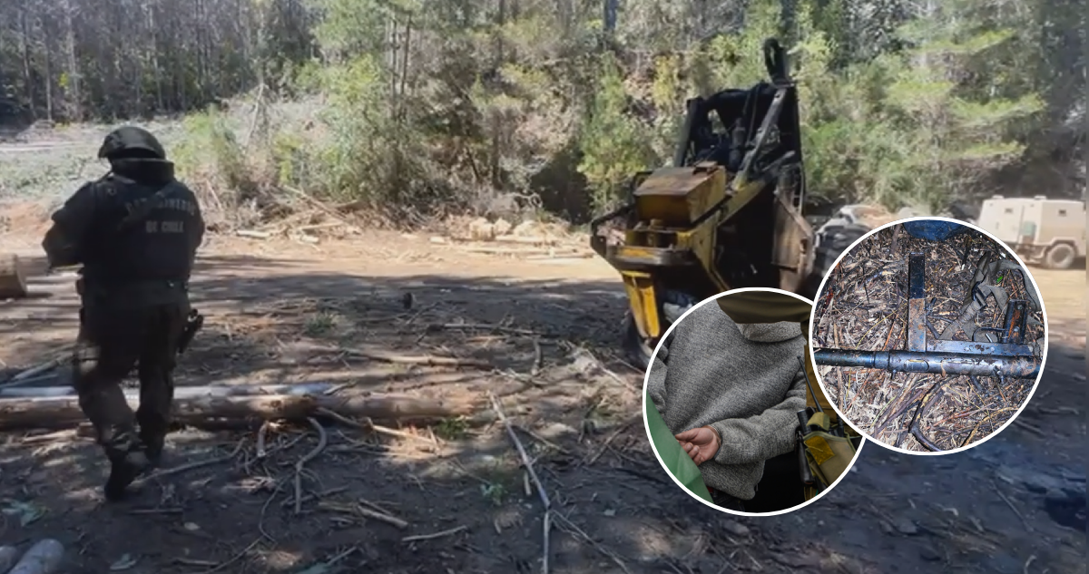 Confirman dos detenidos y armas incautadas tras operativo por atentado incendiario en Contulmo