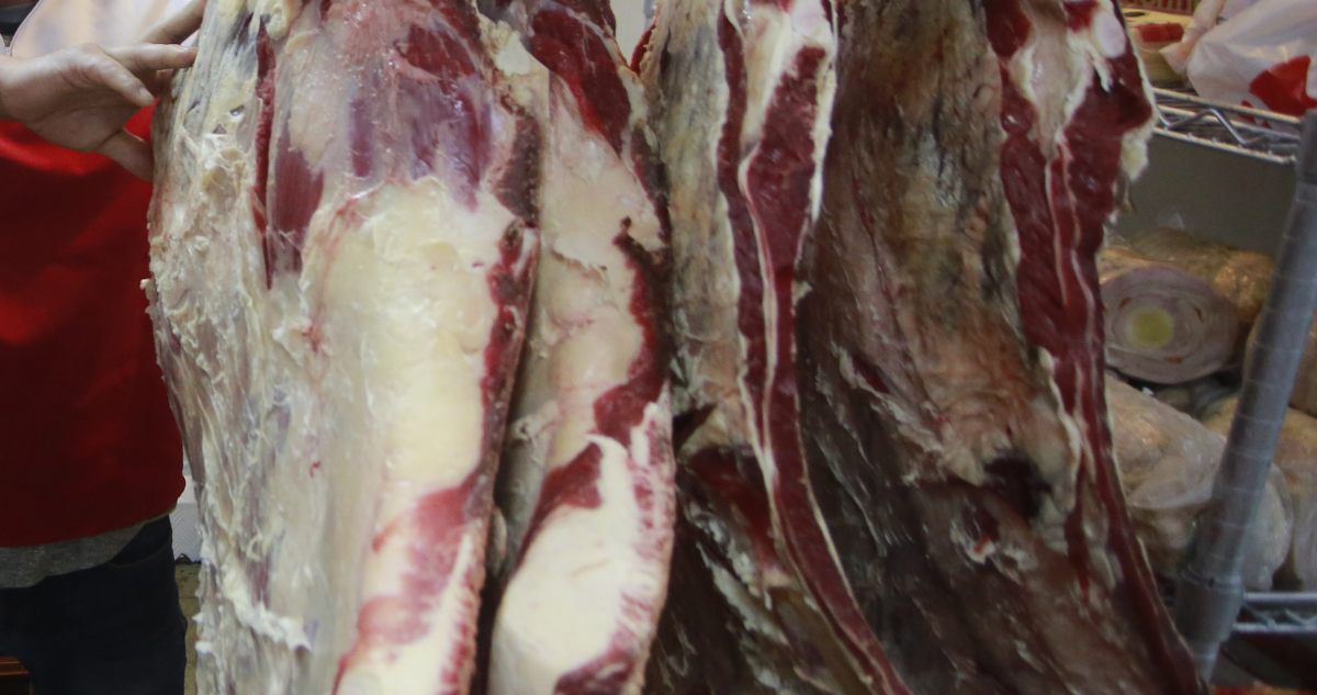 Región de Los Lagos: producción de carne bovina en vara aumentó durante septiembre