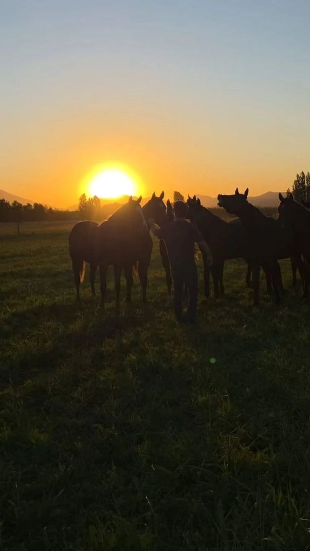 Así es la hermética casa de Benjamín Vicuña en Chile
