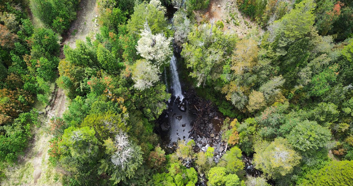 Encuentran cuerpo en medio de búsqueda de adulto mayor desaparecido en Lago Ranco