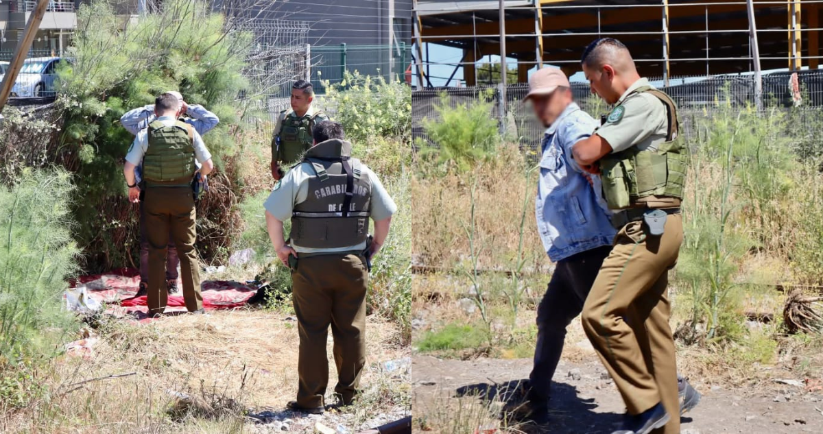 Detienen a hombre que abusó sexualmente de perro en Coronel: cámara de seguridad captó el momento