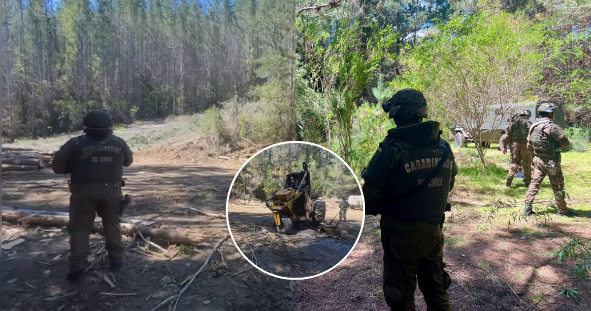 Detienen a una persona en medio de intenso operativo tras atentado incendiario en Contulmo