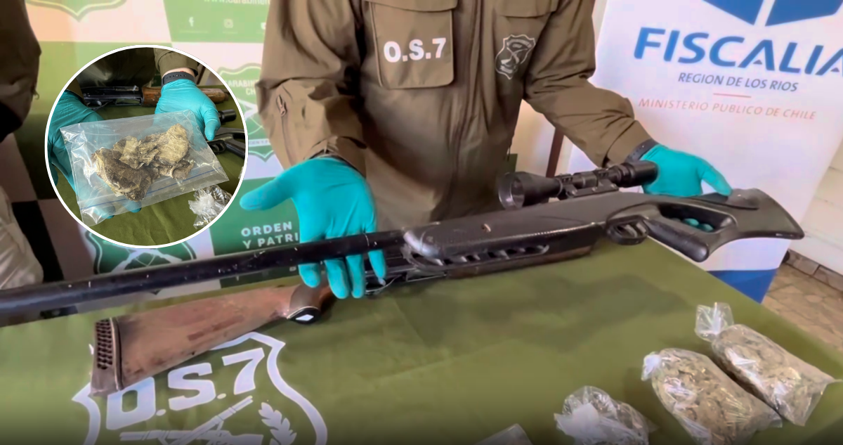 Dos detenidos, un rifle y cerca de $4 millones en marihuana incautada deja operativo en Panguipulli