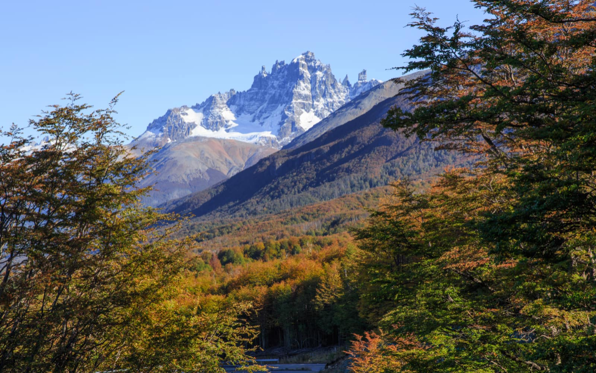 Parque Cerro Castillo, una joya de la naturaleza chilena 