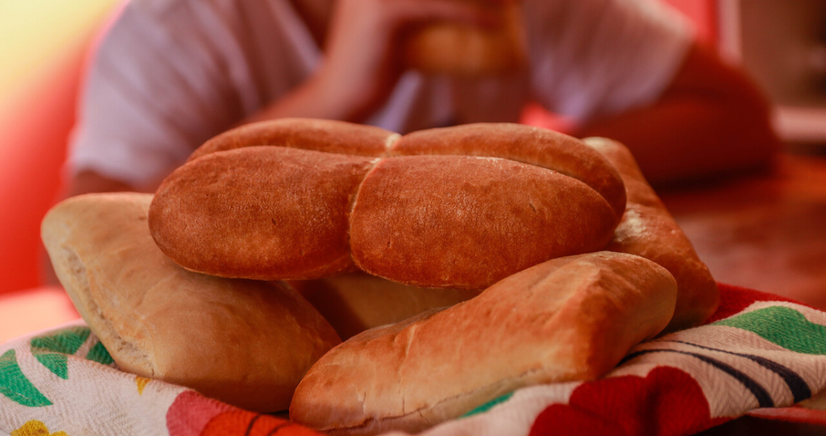 Chile lanzará su primer Catálogo de Variedades del Trigo para transparentar la calidad del grano