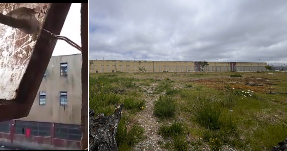 "Para que no me culpen a mí": reo de cárcel de Puerto Montt graba "pelotazo" al interior del recinto