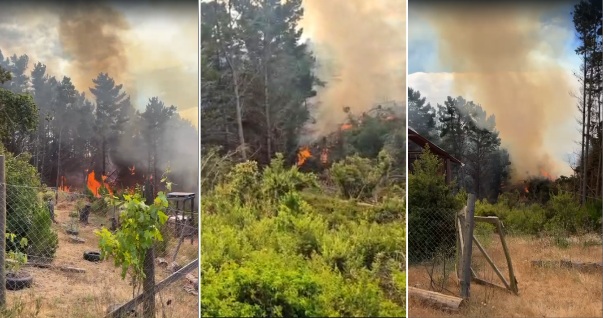Senapred ordena evacuar sector de Valparaíso por incendio forestal