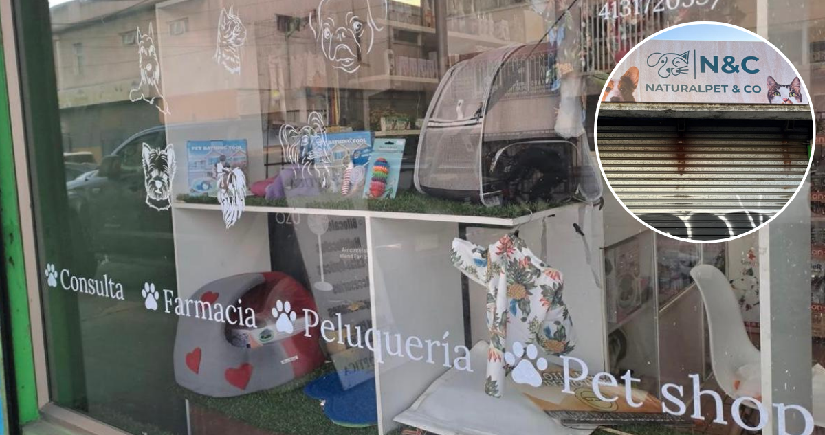 Vendedor que abastecía a clínica veterinaria asaltó con cuchillo a dueña en Concepción