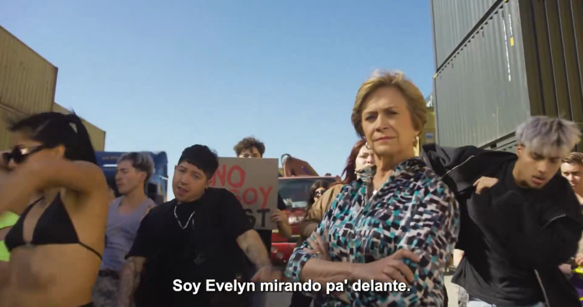 Elizalde por canción de Matthei: “Yo creo que hasta un gato peleando con un micrófono suena mejor”