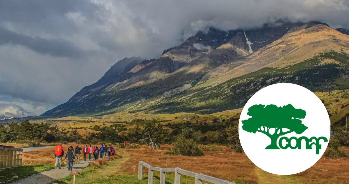 Conaf inicia investigación administrativa por tragedia en Torres del Paine que dejó 5 turistas muertos