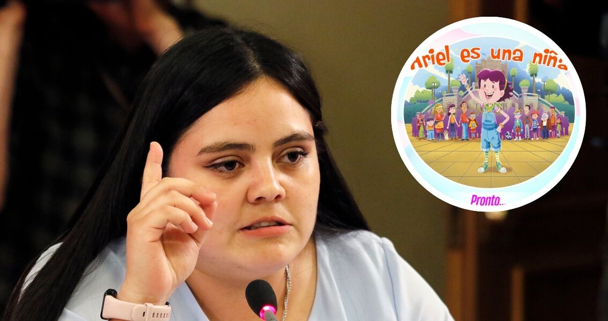 “Impresentable”: Concha se suma a críticas por patrocinio del Gobierno a cuento “Ariel es una niña”