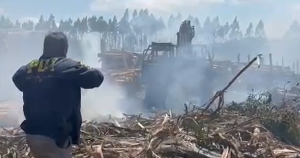 Queman 7 máquinas forestales en Cunco: es el cuarto ataque incendiario en 72 horas en La Araucanía
