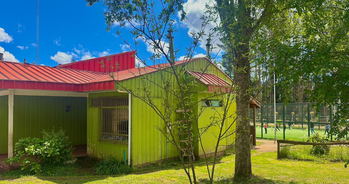 Denuncian a directora de escuela de Galvarino por agredir física y verbalmente a niño de 10 años