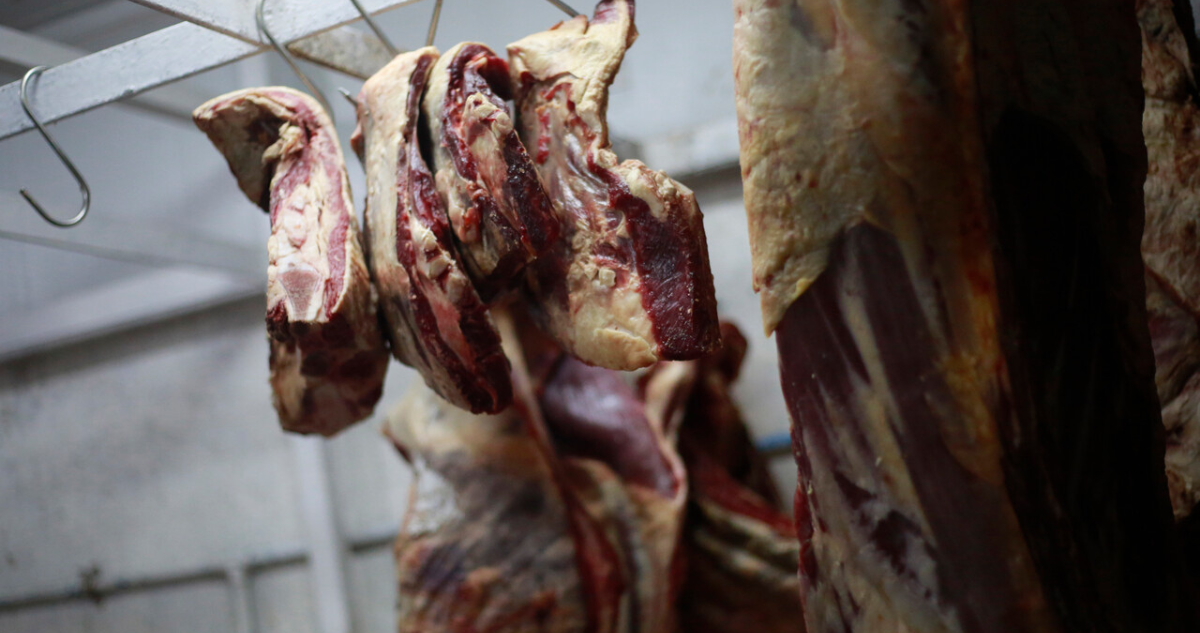 CONTEXTO/AGENCIA UNO.