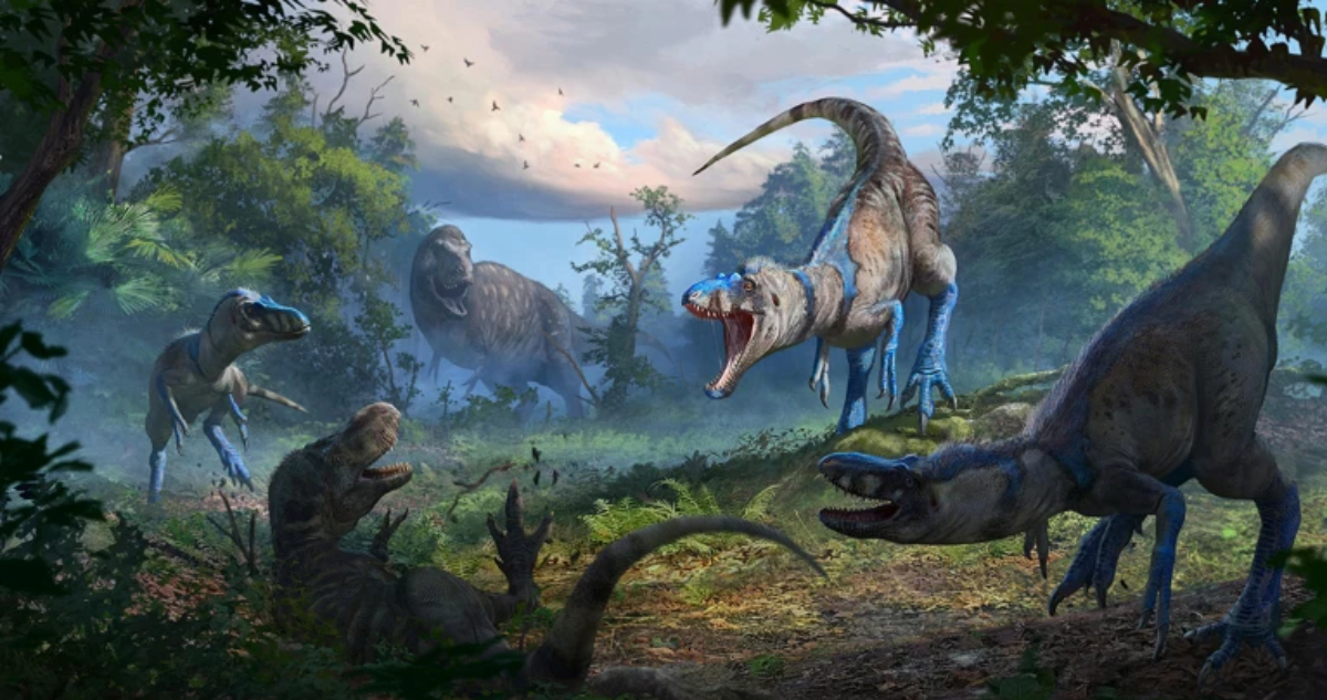 Nanotyrannus atacando a un tiranosaurio rex