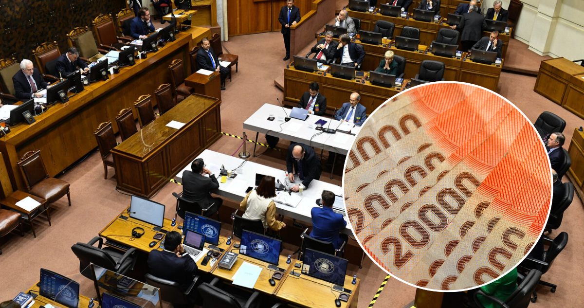 Diputados y senadores