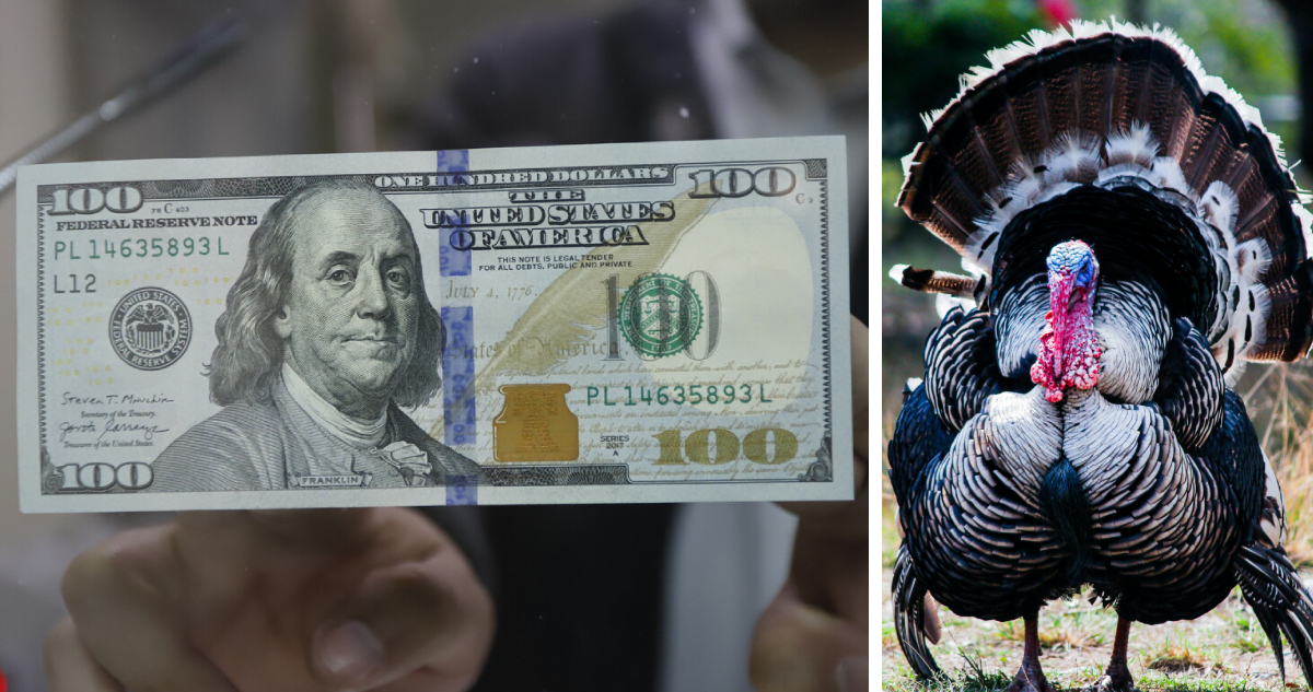 El dólar sube aunque con escasos movimientos por feriado en EEUU en Día de Acción de Gracias