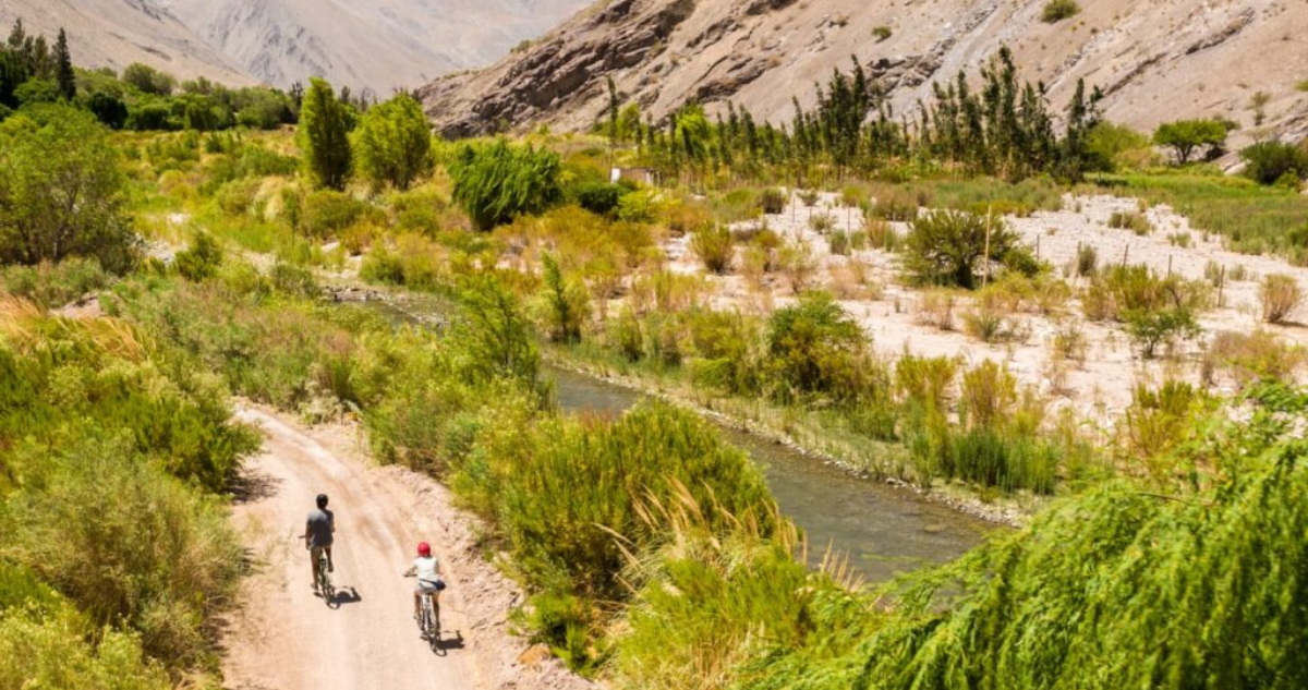 El Tránsito y Alto del Carmen