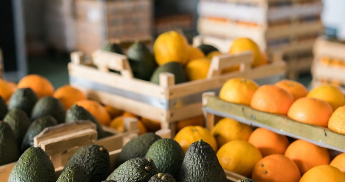 Los productos agrícolas chilenos que ingresarán a EEUU con arancel cero