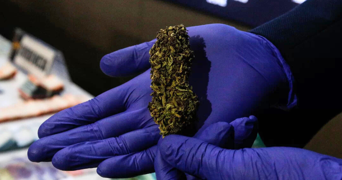 Marihuana y cocaína: funcionario de Sernapesca es detenido con 10 kilos de drogas en La Araucanía