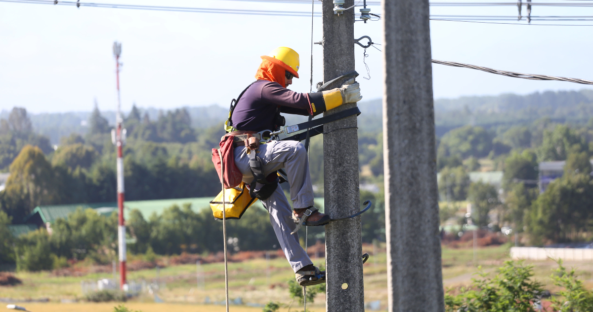 Grupo Saesa valora fallo judicial contra robo de cables eléctricos que afecta a distribuidora Frontel