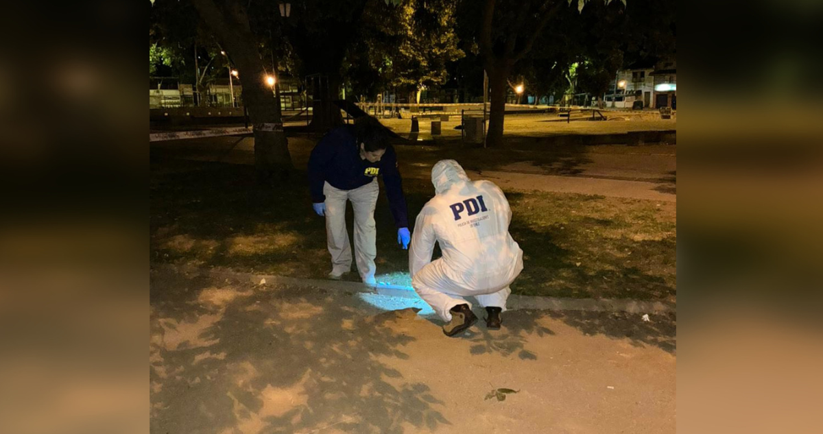 Hombre muere tras ataque en Parque Brasil de Limache: fue apuñalado y golpeado por al menos 4 sujetos