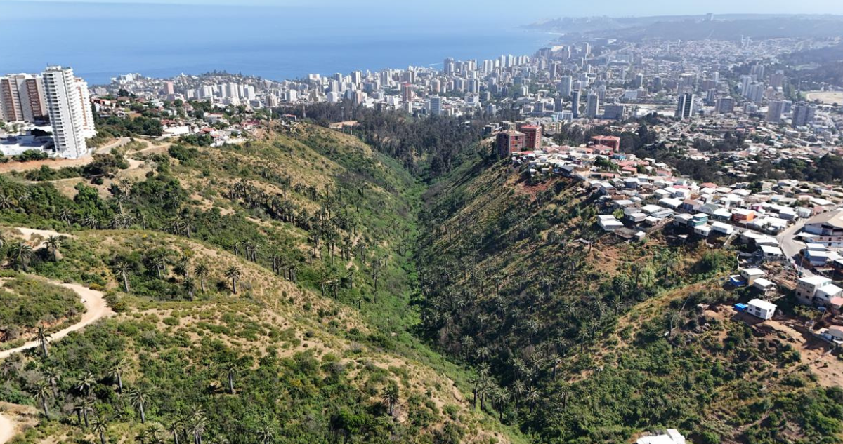 Declaran Humedal Kan Kan de Viña del Mar como ecosistema acuático urbano