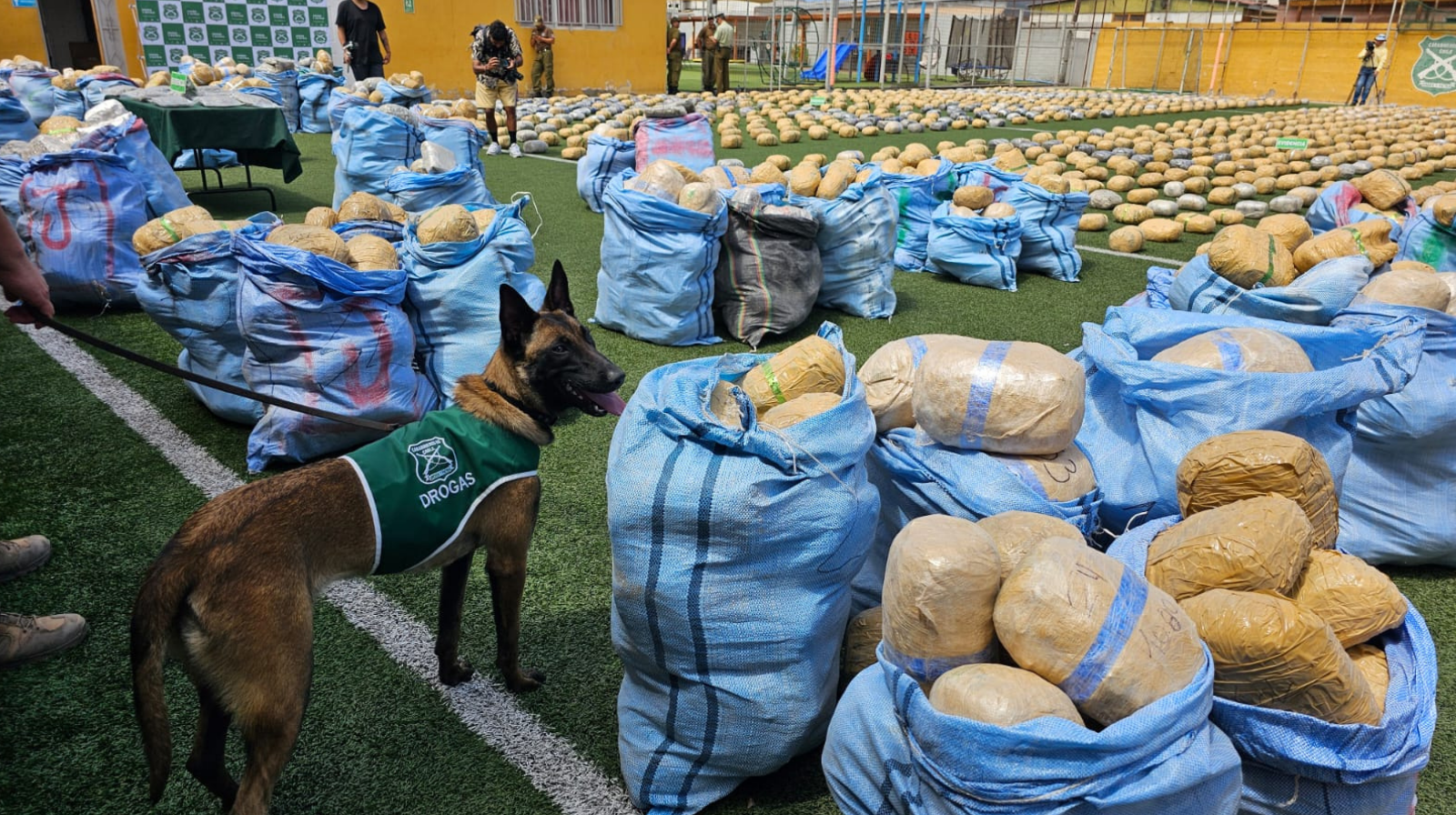 Incautación inédita en Antofagasta: decomisan 4 toneladas de marihuana tras fatal volcamiento de camión en Paposo