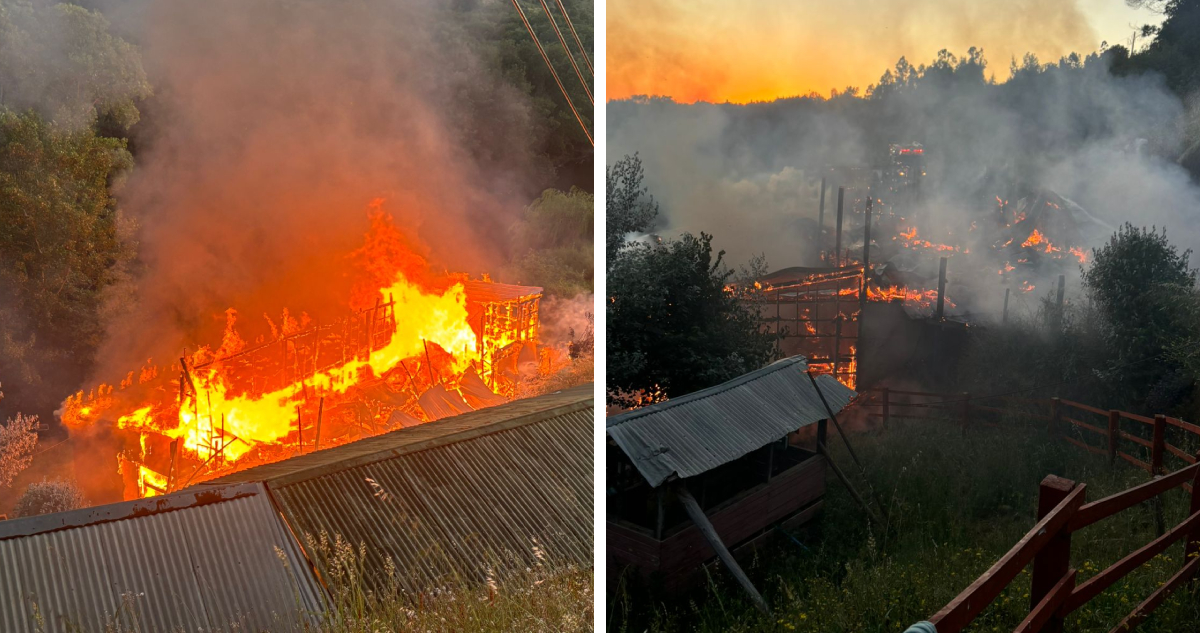Tras atentados previos en la zona: Investigan si hubo intencionalidad en incendio de cabañas en Angol
