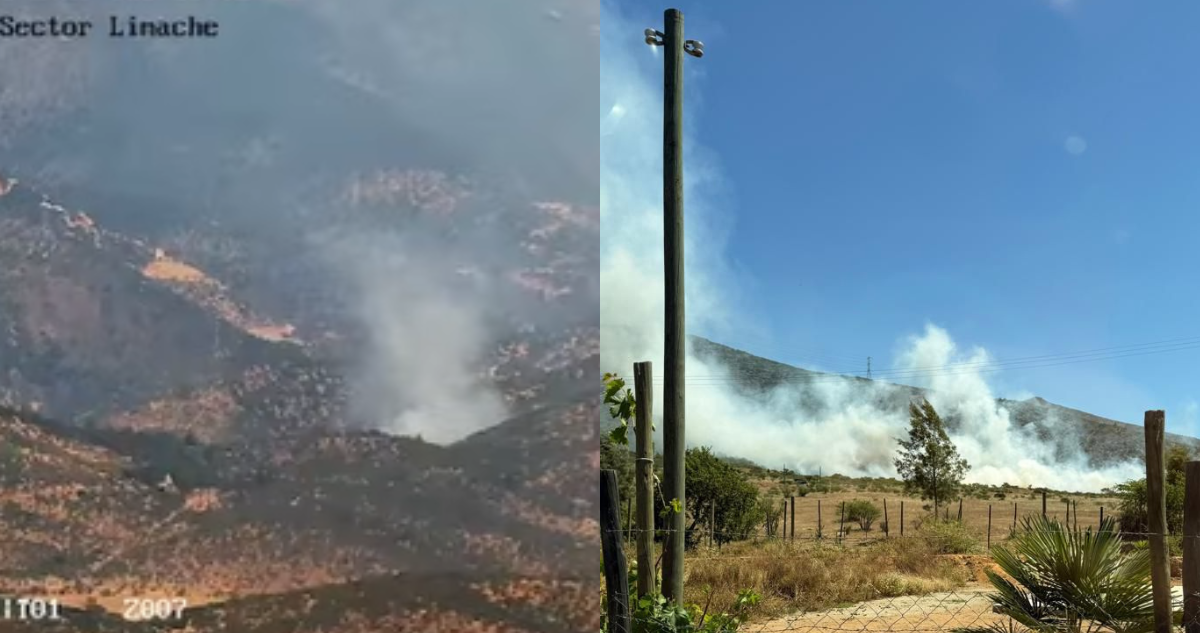 Incendio forestal afecta a sector de Lliu Lliu en comuna de Limache
