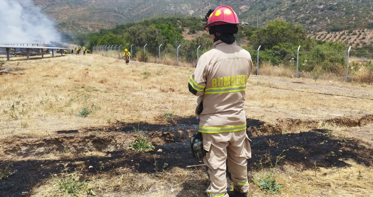 Incendio forestal en Quillota