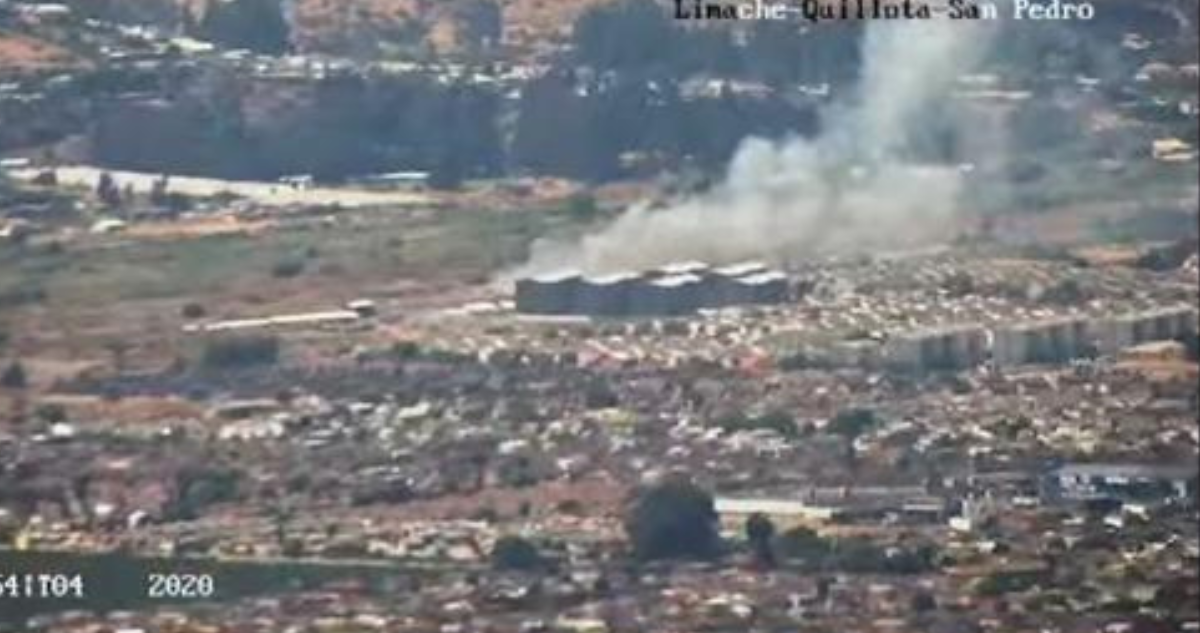Incendio forestal se registró en la ribera del Río Aconcagua, en Quillota