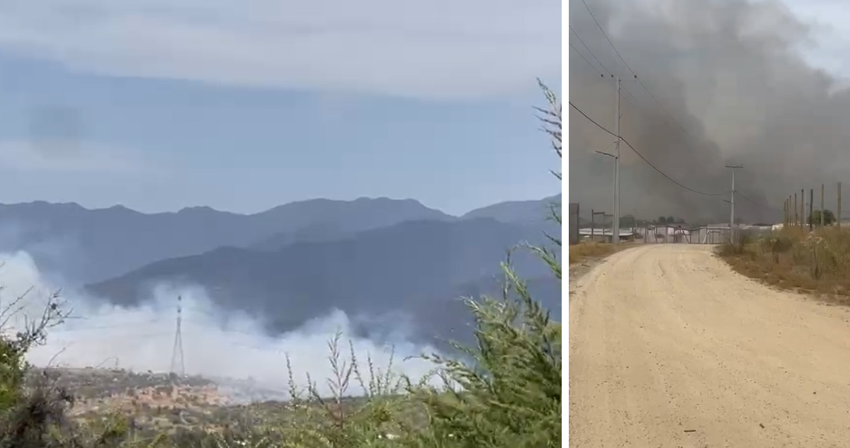 Alerta Roja para la comuna: piden evacuar dos sectores de Limache debido a incendio forestal