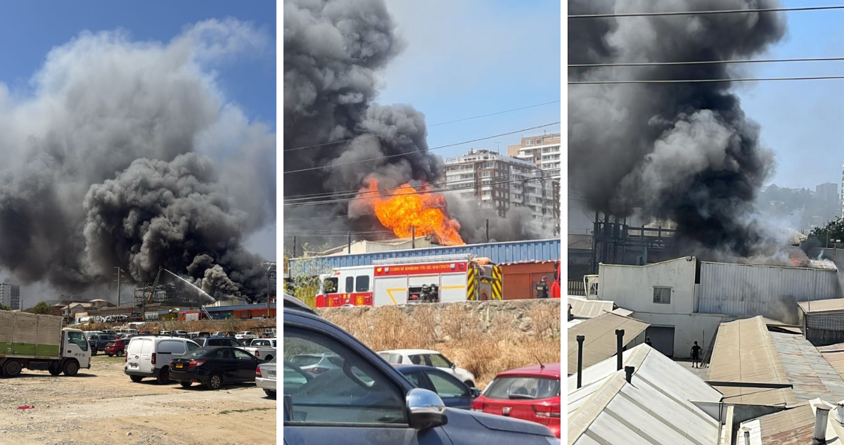 https://media.biobiochile.cl/wp-content/uploads/2025/11/incendio-vina-del-mar.png