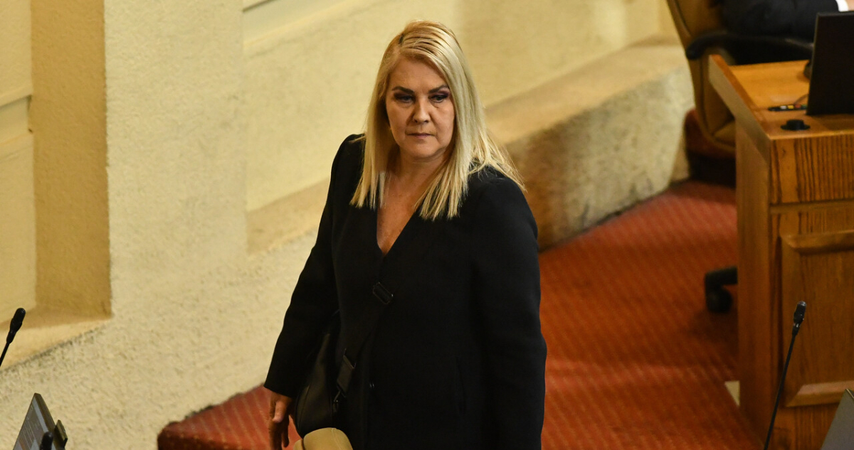 Jiles arremete contra Jara: “Es más neoliberal que Kast”