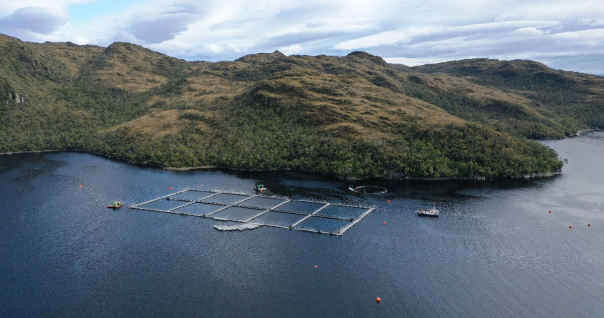 Foto de contexto de borde costero para columna sobre Ley Lafkenche