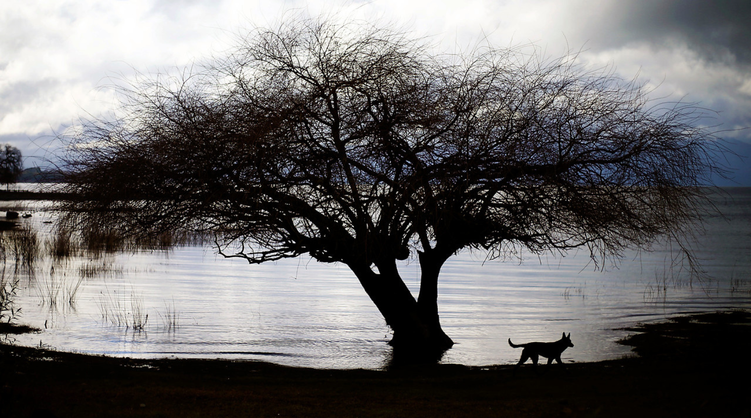 Gobierno aplaza entrada en vigencia de plan de descontaminación del Lago Villarrica: pasa a marzo 2026