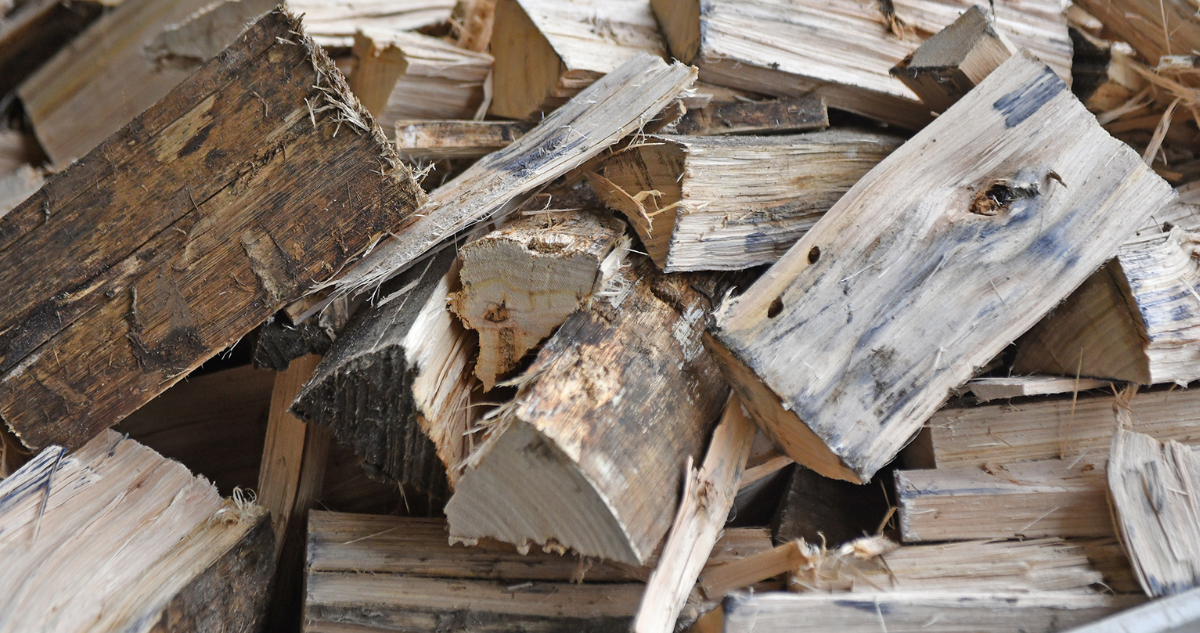 Los Lagos: Municipalidad de Osorno teme prohibición del uso de leña en nuevo Plan de Descontaminación