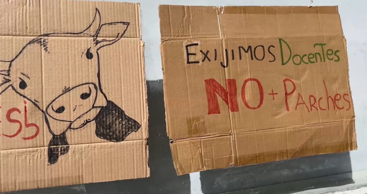 Estudiantes de Medicina Veterinaria de UACh inician paro: se tomaron edificio de campus Isla Teja