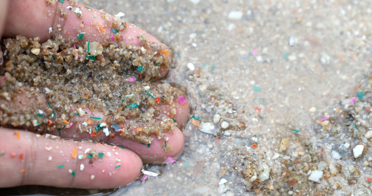 Microplásticos en estuarios de Chile