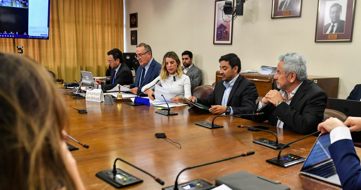 Diputada Orsini presidirá comisión revisora de la AC contra ministro Simpertigue: descartó presiones