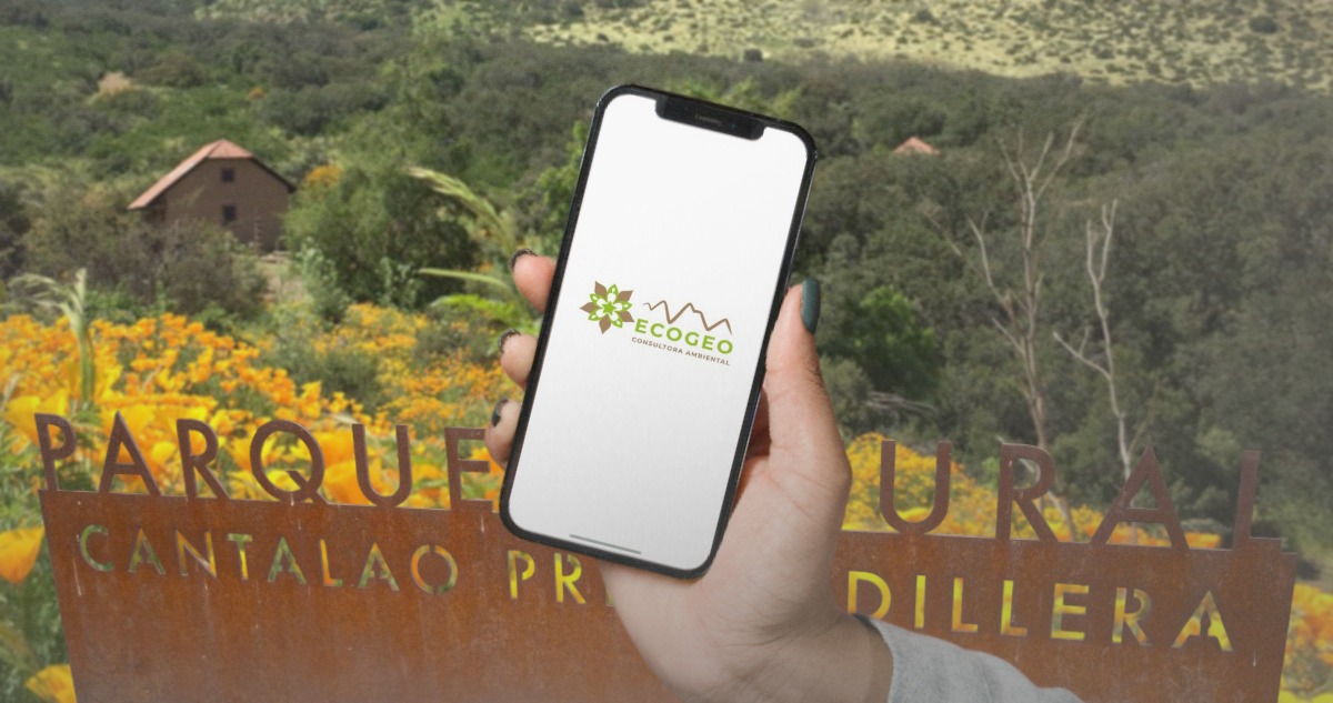 Hijo vivió gratis y ganó cuantiosos tratos: indagan a exjefa de parque por pérdidas de $2 mil millones