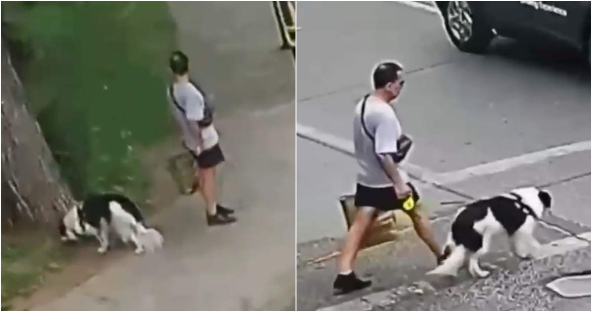 Abogado asegura que perro habría “contaminado” escenario donde se cometió triple homicidio en La Reina